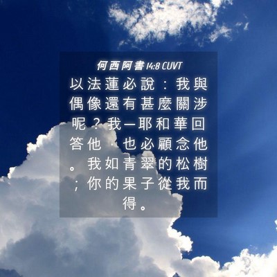 Picture 04 - 何 西 阿 書 14:8 CUVT - 以 法 蓮 必 說 ： 我 與 偶 像 還 有 - Bible Verse Picture