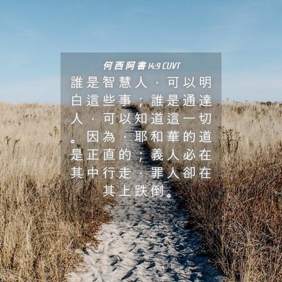 Picture 04 - 何 西 阿 書 14:9 CUVT - 誰 是 智 慧 人 ， 可 以 明 白 這 些 - Bible Verse Picture