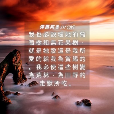 Picture 04 - 何 西 阿 書 2:12 CUVT - 我 也 必 毀 壞 她 的 葡 萄 樹 和 無 - Bible Verse Picture