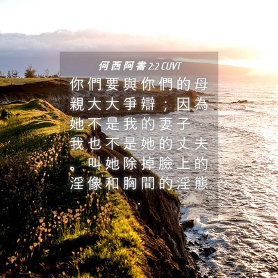 Picture 04 - 何 西 阿 書 2:2 CUVT - 你 們 要 與 你 們 的 母 親 大 大 爭 - Bible Verse Picture