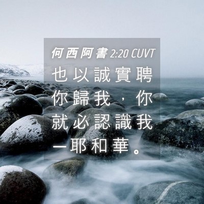 Picture 04 - 何 西 阿 書 2:20 CUVT - 也 以 誠 實 聘 你 歸 我 ， 你 就 必 - Bible Verse Picture