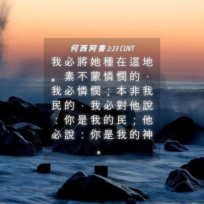 Picture 04 - 何 西 阿 書 2:23 CUVT - 我 必 將 她 種 在 這 地 。 素 不 蒙 - Bible Verse Picture