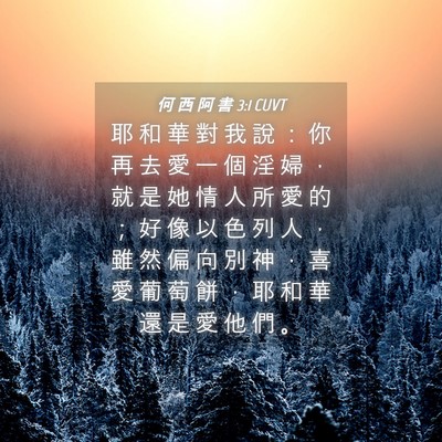 Picture 04 - 何 西 阿 書 3:1 CUVT - 耶 和 華 對 我 說 ： 你 再 去 愛 一 - Bible Verse Picture