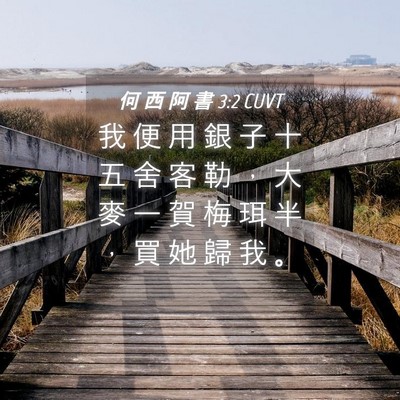 Picture 04 - 何 西 阿 書 3:2 CUVT - 我 便 用 銀 子 十 五 舍 客 勒 ， 大 - Bible Verse Picture
