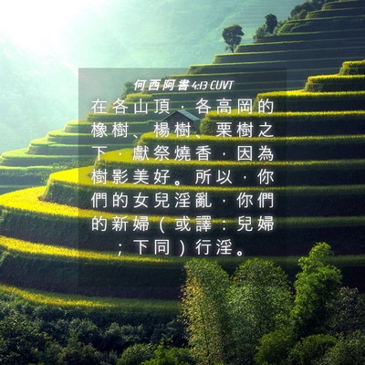 Picture 04 - 何 西 阿 書 4:13 CUVT - 在 各 山 頂 ， 各 高 岡 的 橡 樹 、 - Bible Verse Picture