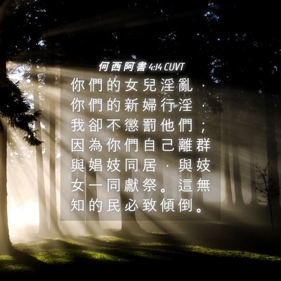 Picture 04 - 何 西 阿 書 4:14 CUVT - 你 們 的 女 兒 淫 亂 ， 你 們 的 新 - Bible Verse Picture