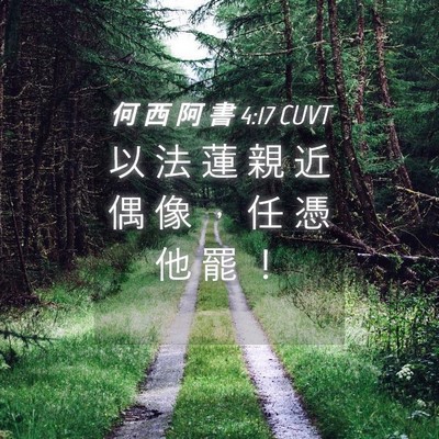 Picture 04 - 何 西 阿 書 4:17 CUVT - 以 法 蓮 親 近 偶 像 ， 任 憑 他 罷 - Bible Verse Picture