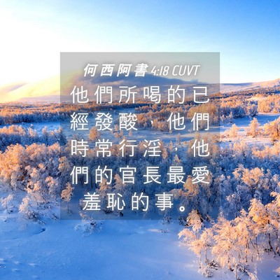 Picture 04 - 何 西 阿 書 4:18 CUVT - 他 們 所 喝 的 已 經 發 酸 ， 他 們 - Bible Verse Picture