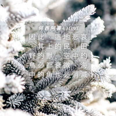 Picture 04 - 何 西 阿 書 4:3 CUVT - 因 此 ， 這 地 悲 哀 ， 其 上 的 民 - Bible Verse Picture