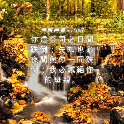 Picture 04 - 何 西 阿 書 4:5 CUVT - 你 這 祭 司 必 日 間 跌 倒 ； 先 知 - Bible Verse Picture