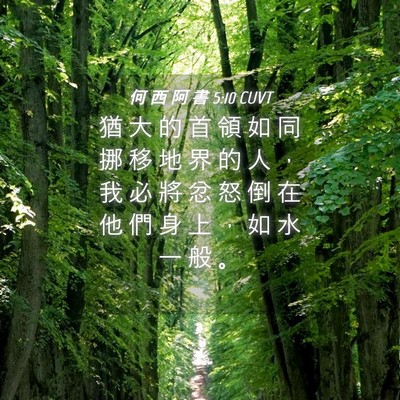 Picture 04 - 何 西 阿 書 5:10 CUVT - 猶 大 的 首 領 如 同 挪 移 地 界 的 - Bible Verse Picture