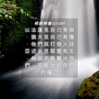 Picture 04 - 何 西 阿 書 5:13 CUVT - 以 法 蓮 見 自 己 有 病 ， 猶 大 見 - Bible Verse Picture