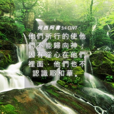 Picture 04 - 何 西 阿 書 5:4 CUVT - 他 們 所 行 的 使 他 們 不 能 歸 向 - Bible Verse Picture
