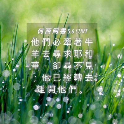 Picture 04 - 何 西 阿 書 5:6 CUVT - 他 們 必 牽 著 牛 羊 去 尋 求 耶 和 - Bible Verse Picture