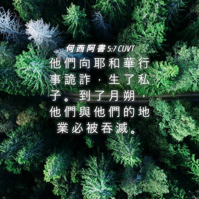 Picture 04 - 何 西 阿 書 5:7 CUVT - 他 們 向 耶 和 華 行 事 詭 詐 ， 生 - Bible Verse Picture