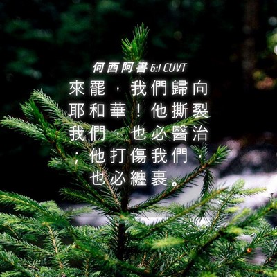 Picture 04 - 何 西 阿 書 6:1 CUVT - 來 罷 ， 我 們 歸 向 耶 和 華 ！ 他 - Bible Verse Picture