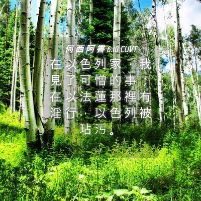 Picture 04 - 何 西 阿 書 6:10 CUVT - 在 以 色 列 家 ， 我 見 了 可 憎 的 - Bible Verse Picture