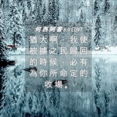 Picture 04 - 何 西 阿 書 6:11 CUVT - 猶 大 啊 ， 我 使 被 擄 之 民 歸 回 - Bible Verse Picture