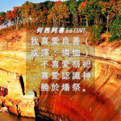 Picture 04 - 何 西 阿 書 6:6 CUVT - 我 喜 愛 良 善 （ 或 譯 ： 憐 恤 ） - Bible Verse Picture