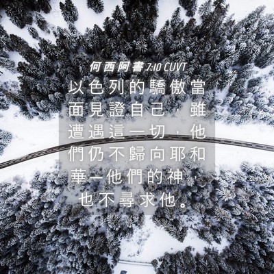 Picture 04 - 何 西 阿 書 7:10 CUVT - 以 色 列 的 驕 傲 當 面 見 證 自 己 - Bible Verse Picture