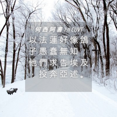 Picture 04 - 何 西 阿 書 7:11 CUVT - 以 法 蓮 好 像 鴿 子 愚 蠢 無 知 ； - Bible Verse Picture