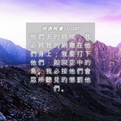 Picture 04 - 何 西 阿 書 7:12 CUVT - 他 們 去 的 時 候 ， 我 必 將 我 的 - Bible Verse Picture