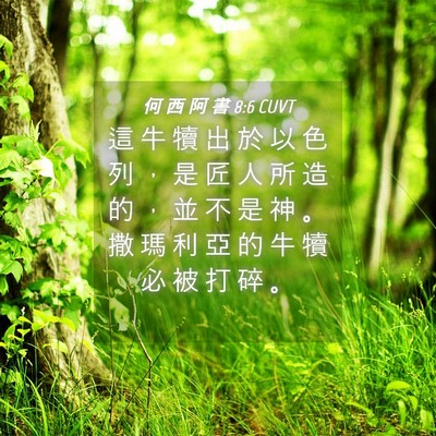 Picture 04 - 何 西 阿 書 8:6 CUVT - 這 牛 犢 出 於 以 色 列 ， 是 匠 人 - Bible Verse Picture