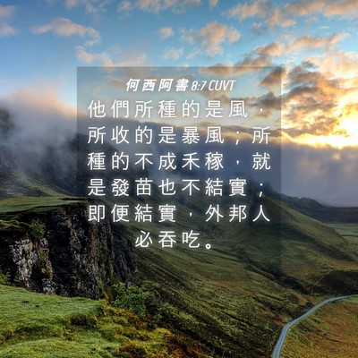 Picture 04 - 何 西 阿 書 8:7 CUVT - 他 們 所 種 的 是 風 ， 所 收 的 是 - Bible Verse Picture