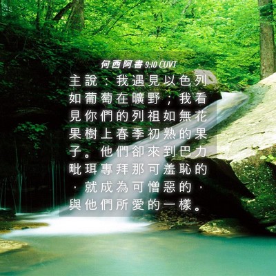 Picture 04 - 何 西 阿 書 9:10 CUVT - 主 說 ： 我 遇 見 以 色 列 如 葡 萄 - Bible Verse Picture
