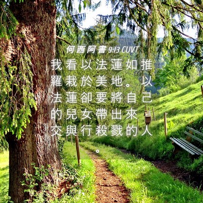 Picture 04 - 何 西 阿 書 9:13 CUVT - 我 看 以 法 蓮 如 推 羅 栽 於 美 地 - Bible Verse Picture