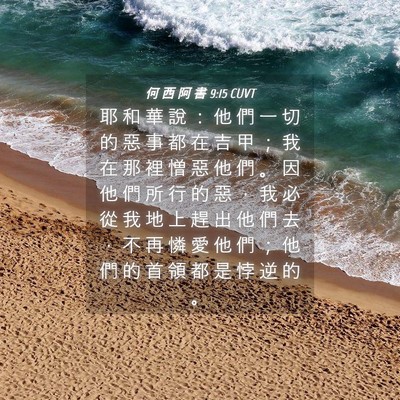 Picture 04 - 何 西 阿 書 9:15 CUVT - 耶 和 華 說 ： 他 們 一 切 的 惡 事 - Bible Verse Picture