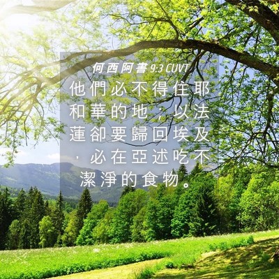 Picture 04 - 何 西 阿 書 9:3 CUVT - 他 們 必 不 得 住 耶 和 華 的 地 ； - Bible Verse Picture