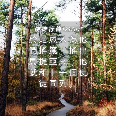 Picture 04 - 使 徒 行 傳 1:26 CUVT - 於 是 眾 人 為 他 們 搖 籤 ， 搖 出 - Bible Verse Picture