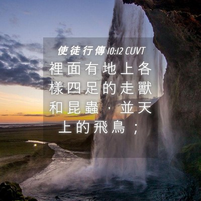 Picture 04 - 使 徒 行 傳 10:12 CUVT - 裡 面 有 地 上 各 樣 四 足 的 走 獸 - Bible Verse Picture