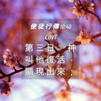 Picture 04 - 使 徒 行 傳 10:40 CUVT - 第 三 日 ， 神 叫 他 復 活 ， 顯 現 - Bible Verse Picture
