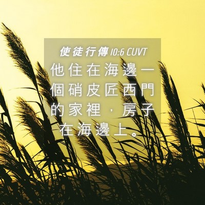 Picture 04 - 使 徒 行 傳 10:6 CUVT - 他 住 在 海 邊 一 個 硝 皮 匠 西 門 - Bible Verse Picture