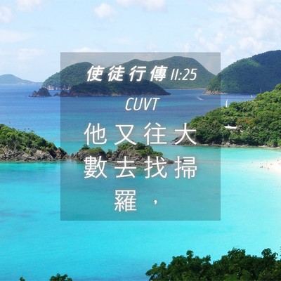Picture 04 - 使 徒 行 傳 11:25 CUVT - 他 又 往 大 數 去 找 掃 羅 - Bible Verse Picture