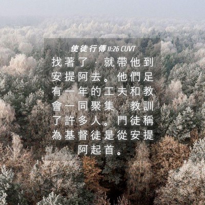Picture 04 - 使 徒 行 傳 11:26 CUVT - 找 著 了 ， 就 帶 他 到 安 提 阿 去 - Bible Verse Picture