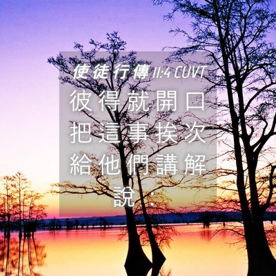 Picture 04 - 使 徒 行 傳 11:4 CUVT - 彼 得 就 開 口 把 這 事 挨 次 給 他 - Bible Verse Picture