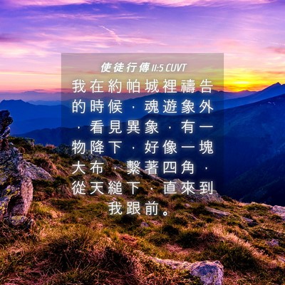 Picture 04 - 使 徒 行 傳 11:5 CUVT - 我 在 約 帕 城 裡 禱 告 的 時 候 ， - Bible Verse Picture