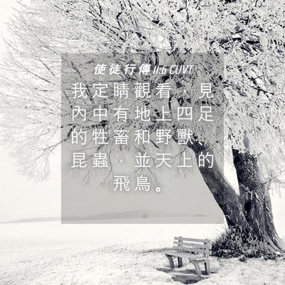 Picture 04 - 使 徒 行 傳 11:6 CUVT - 我 定 睛 觀 看 ， 見 內 中 有 地 上 - Bible Verse Picture