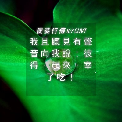 Picture 04 - 使 徒 行 傳 11:7 CUVT - 我 且 聽 見 有 聲 音 向 我 說 ： 彼 - Bible Verse Picture