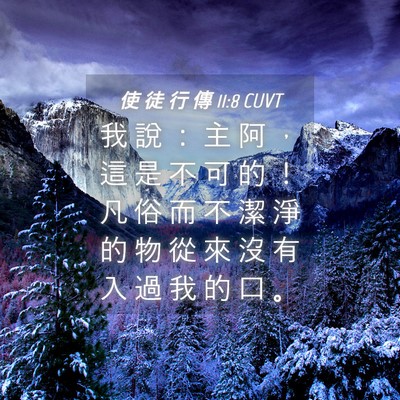 Picture 04 - 使 徒 行 傳 11:8 CUVT - 我 說 ： 主 阿 ， 這 是 不 可 的 ！ - Bible Verse Picture
