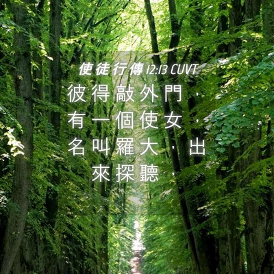 Picture 04 - 使 徒 行 傳 12:13 CUVT - 彼 得 敲 外 門 ， 有 一 個 使 女 ， - Bible Verse Picture