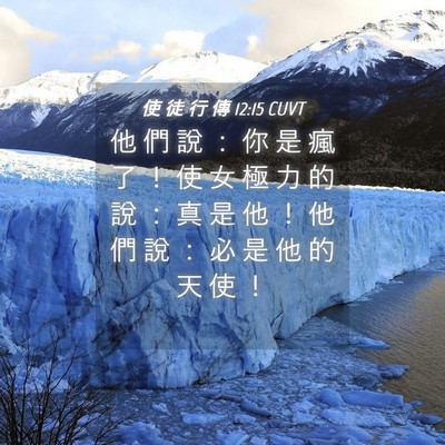 Picture 04 - 使 徒 行 傳 12:15 CUVT - 他 們 說 ： 你 是 瘋 了 ！ 使 女 極 - Bible Verse Picture