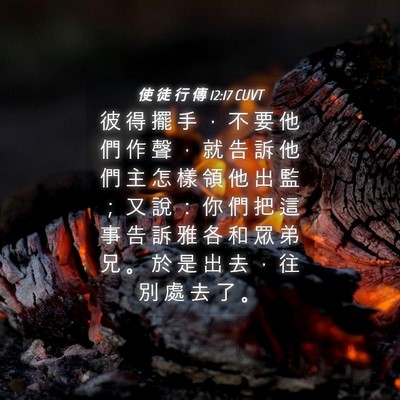Picture 04 - 使 徒 行 傳 12:17 CUVT - 彼 得 擺 手 ， 不 要 他 們 作 聲 ， - Bible Verse Picture