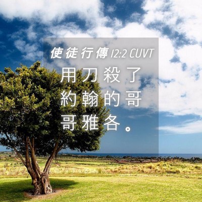 Picture 04 - 使 徒 行 傳 12:2 CUVT - 用 刀 殺 了 約 翰 的 哥 哥 雅 各 - Bible Verse Picture
