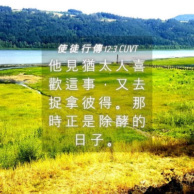 Picture 04 - 使 徒 行 傳 12:3 CUVT - 他 見 猶 太 人 喜 歡 這 事 ， 又 去 - Bible Verse Picture