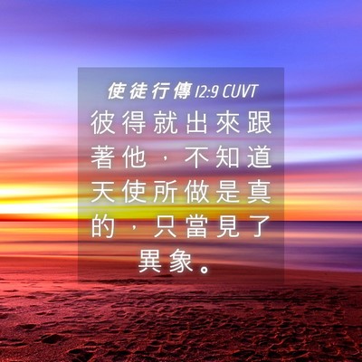 Picture 04 - 使 徒 行 傳 12:9 CUVT - 彼 得 就 出 來 跟 著 他 ， 不 知 道 - Bible Verse Picture