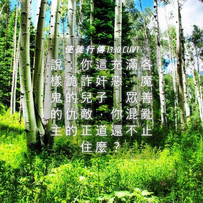 Picture 04 - 使 徒 行 傳 13:10 CUVT - 說 ： 你 這 充 滿 各 樣 詭 詐 奸 惡 - Bible Verse Picture